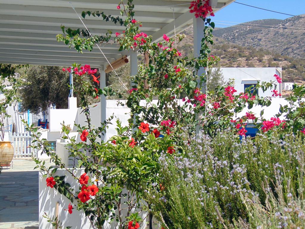 The veranda of the apartment